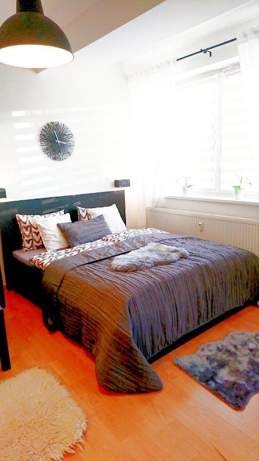 Apartman U Sklarny Daire Harrachov Dış mekan fotoğraf